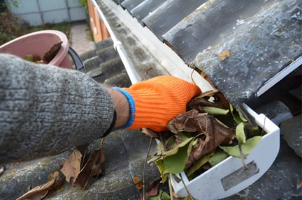 Clean Sunroom Gutters